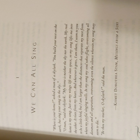 The Way of Song by Shawn Carol - Picture 6 of 9